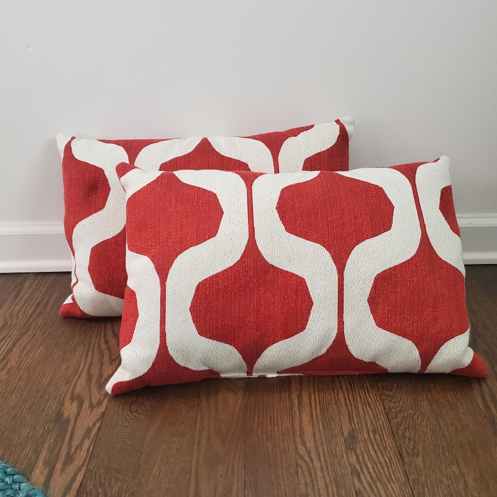 Two Burnt Orange Throw Pillows (2)